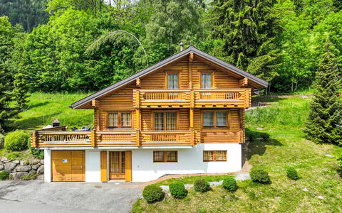 Edelweiss: Plante, Bâtiment, Fenêtre, Paysage Naturel, Maison, Arbre, Bois, Lot Terre, Chalet, Herbe