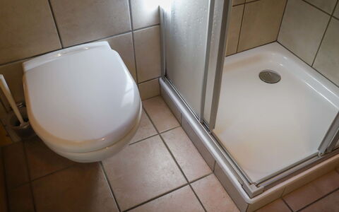Edelweiss: Marron, Luminaire Plomberie, Salle De Bains, Sol, Toilette, Sol, Rectangle, Plomberie, Ligne