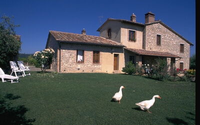 Poggetto Di Montese
