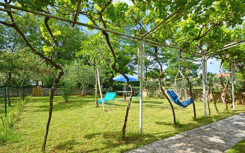 Aron: Plante, Arbre, Paysage Naturel, Ombre, Herbe, Loisir, Paysage, Des Loisirs, Teintes Et Ombres, Pôle