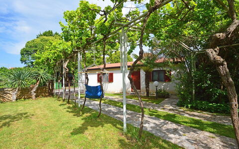 Aron: Plante, Nuage, Ciel, Arbre, Fenêtre, Ombre, Bâtiment, Paysage Naturel, Herbe, Chalet
