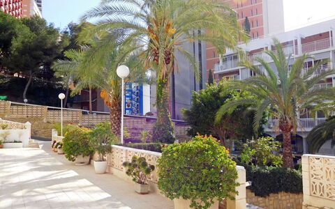 Halcon Levante: Plante, Bâtiment, Fenêtre, Propriété, Ciel, Fleur, Bleu Azur, Botanique, Pot De Fleur, Arbre