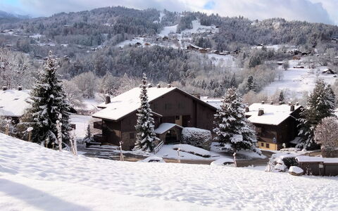 Les Huskies: Nuage, Neige, Ciel, Montagne, Arbre, Maison, Pente, Bâtiment, Fenêtre, Paysage Naturel