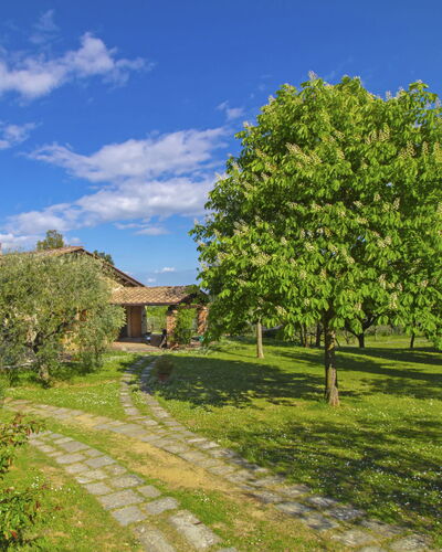 Podere Il Campo