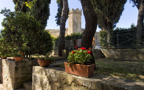 Villa Piazza Della Fortezza: Arbre, Mur, Suppression Des Plantes Ligneuses, Architecture, Botanique, Plante, Feuille, Tronc, Mur De Pierre, Paysage