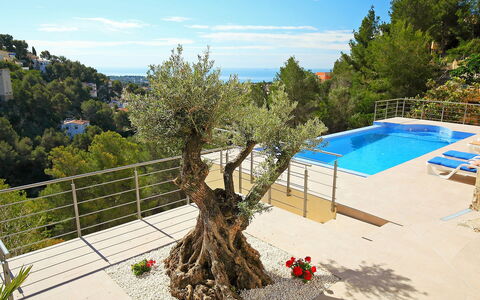 Casa Negrita: Ciel, Nuage, Jour, Plante, L'Eau, Arbre, Design Urbain, Loisir, Pot De Fleur, Immobilier