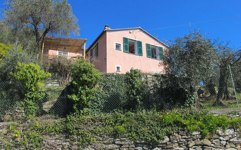 Ca Dò Sante: Plante, Ciel, Communauté Des Plantes, Fenêtre, Bâtiment, Maison, Lot Terre, Arbre, Chalet
