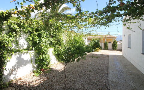 Mexico: Plante, Ciel, Bâtiment, Lot Terre, Ombre, Surface De La Route, Herbe, Paysage, Fenêtre, Teintes Et Ombres