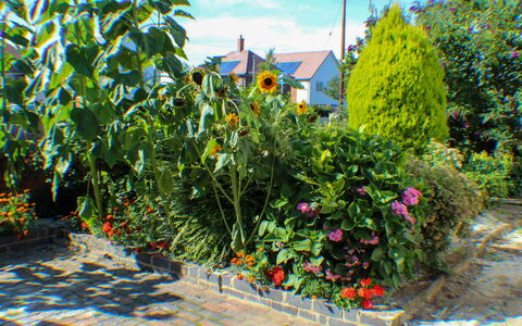 Goudhurst: Fleur, Plante, Propriété, Nuage, Ciel, Communauté Des Plantes, Paysage Naturel, Végétation, Herbe, Biome