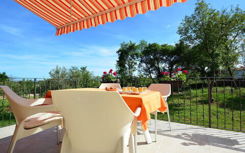 Lory: Plante, Table, Ciel, Meubles, Bâtiment, Chaise, Ombre, Tableau De Plein Air, Mobilier De Jardin, Arbre