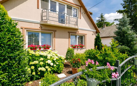 Bocskai: Fleur, Plante, Bâtiment, Fenêtre, Propriété, Botanique, Maison, Ciel, Nuage, Pot De Fleur