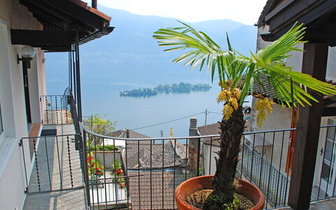 Ronco Sopra Ascona 75: Ciel, Plante, Pot De Fleur, Plante D'Appartement, Bâtiment, Nuage, Végétation, Montagne, Bois, Arecales