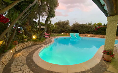 Surphinia: L'Eau, Ciel, Propriété, Piscine, Plante, Bleu Azur, Arbre, Herbe, Loisir, Composite