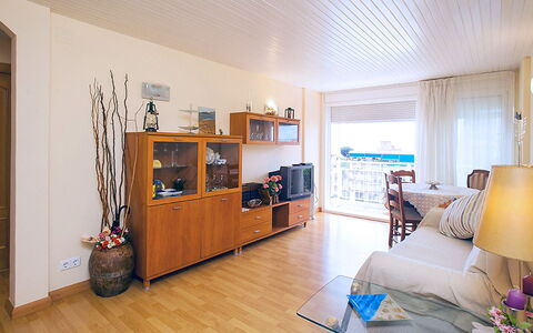 Mariola: Canapé, Plante D'Appartement, Plante, Cadre, Cabinetry, Design Intérieur, Salon, Bois, Sol, Électroménager