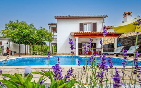 Marija: Fleur, Plante, L'Eau, Ciel, Propriété, Bâtiment, Bleu Azur, Architecture, Fenêtre, Piscine