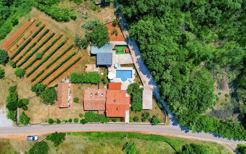 Marija: Plante, Bâtiment, Paysage Naturel, Arbre, Lot Terre, Design Urbain, Rue, Pente, Maison, Zone Résidentielle
