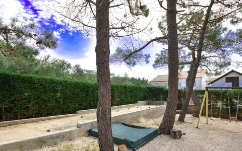 Ivan: Ciel, Nuage, Plante, Paysage Naturel, Arbre, Ombre, Bois, Tronc, Paysage, Herbe