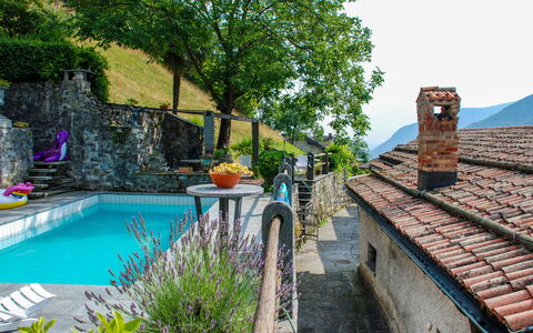 1000 e 1 Notte: Plante, L'Eau, Bâtiment, Propriété, Pot De Fleur, Piscine, Bleu Azur, Arbre, Ciel, Plante D'Appartement