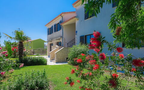 Medulin 111: Plante, Fleur, Bâtiment, Ciel, Fenêtre, Maison, Arbre, Chalet, Herbe, Façade