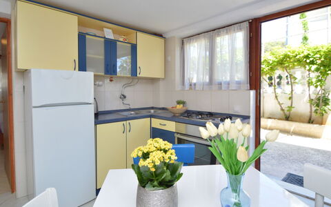 Brodarica Žaborić 110: Fleur, Bâtiment, Plante, Meubles, Table, Cabinetry, Fenêtre, Pot De Fleur, Comptoir, Plante D'Appartement