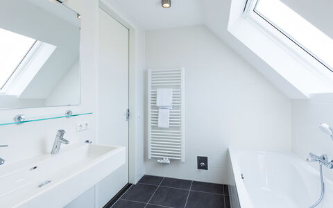 Alk 6: Miroir, Propriété, Évier, Bâtiment, Luminaire Plomberie, Robinet, Salle De Bains, Bleu Azur, Bois