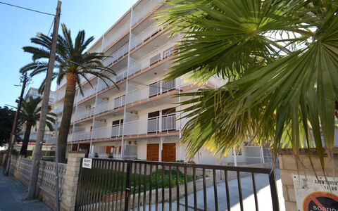 Flandria: Bâtiment, Jour, Ciel, Plante, Arbre, Arecales, Clôture, Terrestre Des Plantes, Design Urbain, Suppression Des Plantes Ligneuses