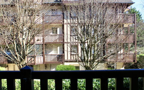 Deauville-Trouville 283: Plante, Propriété, Bâtiment, Fenêtre, Botanique, Feuille, Branche, Végétation, Arbre, Clôture