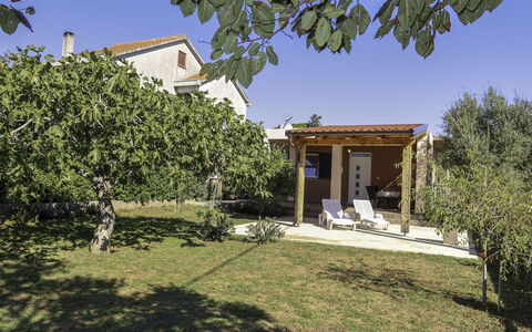 Lorenzo: Ciel, Plante, Propriété, Bâtiment, Arbre, Ombre, Architecture, Lot Terre, Végétation, Quartier
