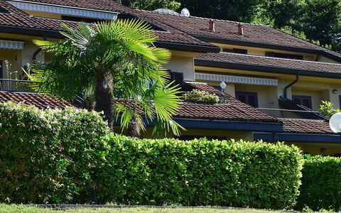La Romantica: Plante, Bâtiment, Fenêtre, Communauté Des Plantes, Vert, Arbre, Maison, Végétation, Herbe, Zone Résidentielle