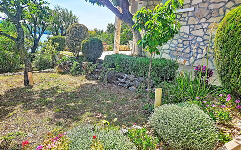 Matal: Fleur, Jardin, Arbuste, Communauté Des Plantes, Couverture De Sol, Printemps, Arrière-Cour, Aménagement Paysager, Cour