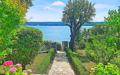 Matal: Bleu, Vert, Arbuste, Jardin, Mer, Printemps, Lac, Océan, Côte, Réservoir