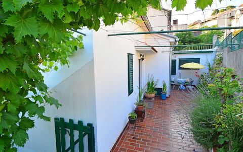 Elin: Vert, Propriété, Maison, Quartier, Architecture, Bâtiment, Immobilier, Feuille, Mur, Cour
