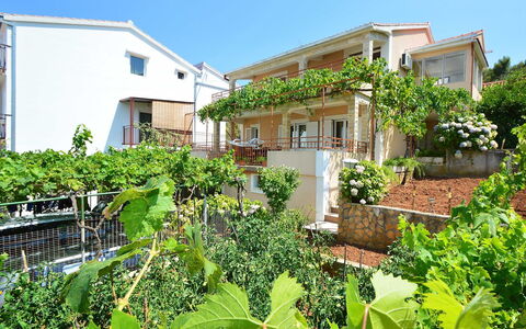 Snježana: Plante, Bâtiment, Ciel, Fenêtre, Propriété, Communauté Des Plantes, Maison, Arbre, Végétation, Lot Terre