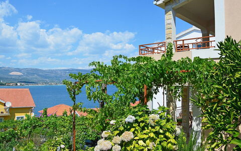 Snježana: Ciel, Fleur, Plante, Nuage, Propriété, Bâtiment, Fenêtre, La Nature, Bleu Azur, Maison