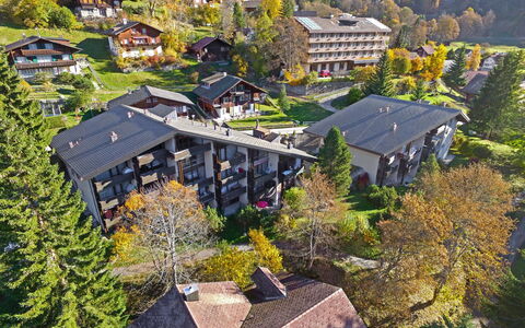 Wengen 59: Photographie Aérienne, Village De Montagne, Toit, Propriété, Établissements Humains, Maison, Ville, Zone Résidentielle, Arbre, Domicile