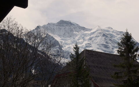 Im Gruebi Apt.5: Nuage, Ciel, Montagne, Neige, Pente, Arbre, Plante, Montagnes, Atmospherique Phénomène, Montagnes Relief