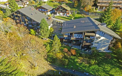 Wengen 59: Plante, Bâtiment, Jour, La Nature, Végétation, Paysage Naturel, Lot Terre, Fenêtre, Design Urbain, Maison
