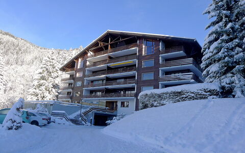 Schuss 23: Neige, L'Hiver, Propriété, Architecture, Maison, Montagne, Ciel, Gelé, Domicile, Immobilier