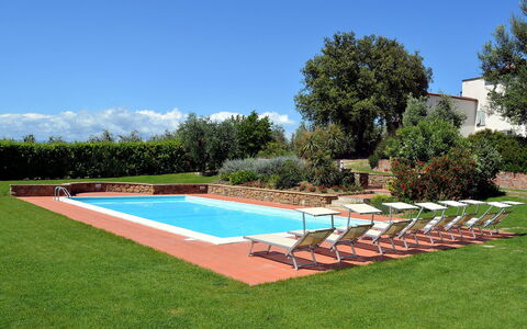 Di Vinci: Piscine, Propriété, Herbe, Immobilier, Arrière-Cour, Maison, Lot Terre, Pelouse, Paysage, Cour