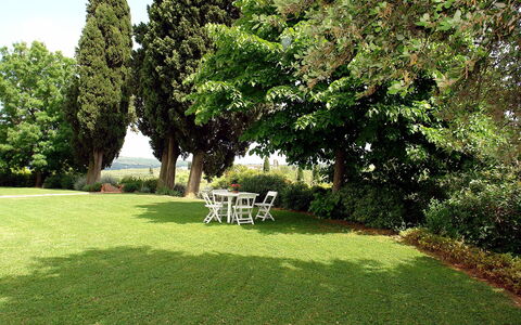 Di Vinci: Pelouse, Herbe, Propriété, Arbre, Jardin, Paysage Naturel, Maison, Cour, Famille Grass, Arbuste