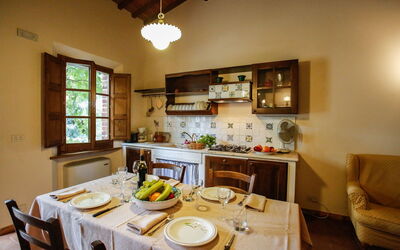 Logement:&nbsp;Paulonia