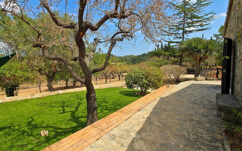Can Coll: Propriété, Arbre, Immobilier, Herbe, Biens, Printemps, Maison, Bâtiment, Architecture, Domicile