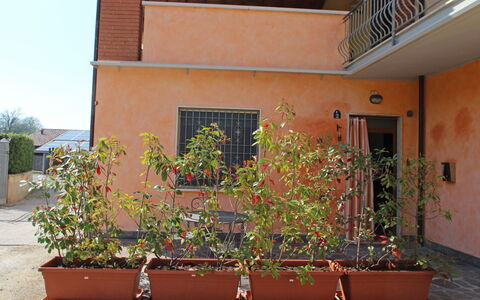 Rondinelli: Pot De Fleur, Plante D'Appartement, Plante, Balcon, Fleur, Façade, Fenêtre, Bâtiment, Jardin, Maison