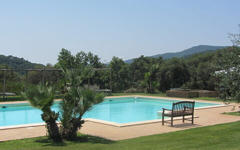 Villa Di Seripa: Piscine, Propriété, Herbe, Recours, Loisir, Immobilier, Maison, Vacances, Biens, Arbre