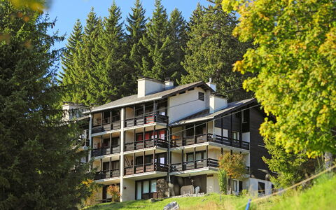 Les Petites Maraîches 132 389: Propriété, La Nature, Maison, Domicile, Immobilier, Paysage Naturel, Arbre, Bâtiment, Architecture, Biens