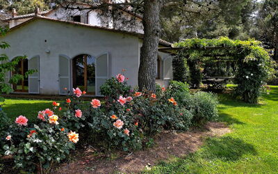 Villa Passonuovo