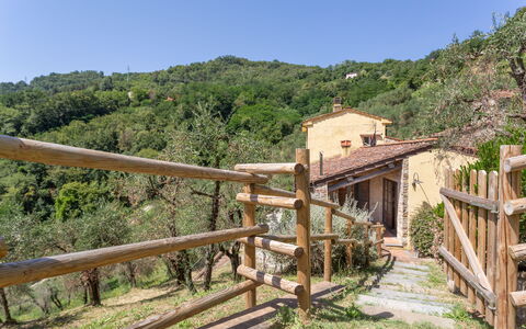 Villa Mastiano: Propriété, Zone Rurale, Immobilier, Arbre, Maison, Paysage, Bâtiment, Plante, Village, Route