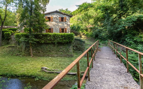 La Ripresa: Végétation, Réserve Naturelle, Voie Navigable, Arbre, Rivière, Herbe, Maison, Zone Rurale, Cours D'Eau, Pont