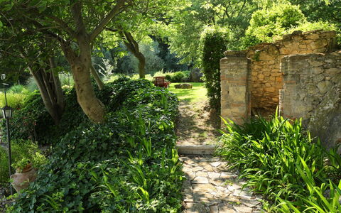 Oasis: Végétation, Paysage Naturel, La Nature, Vert, Arbre, Herbe, Réserve Naturelle, Feuille, Environnement Naturel, Plante