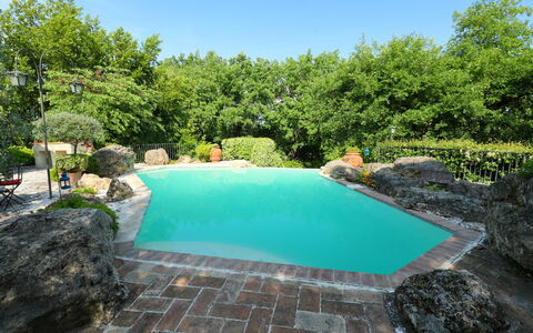 Oasis: L'Eau, Plante, Ciel, Ressources En Eau, Piscine, Bleu Azur, Arbre, Paysage Naturel, Végétation, Herbe